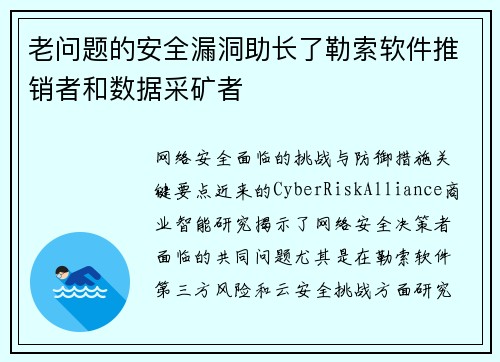 老问题的安全漏洞助长了勒索软件推销者和数据采矿者 