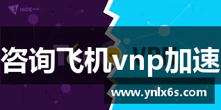 咨询飞机vnp加速